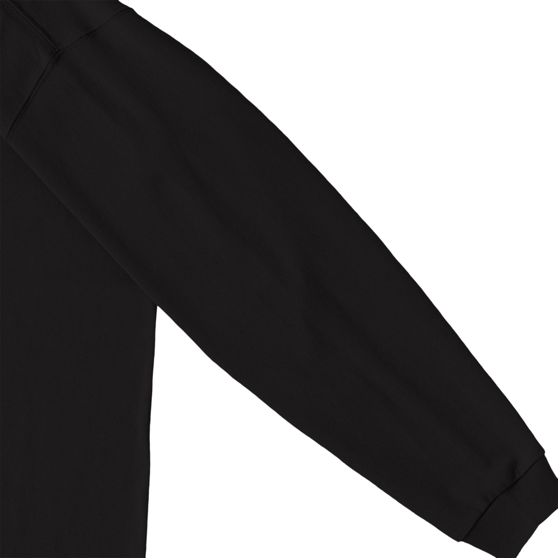 極厚ロンT（THIS IS THE WAT） black image